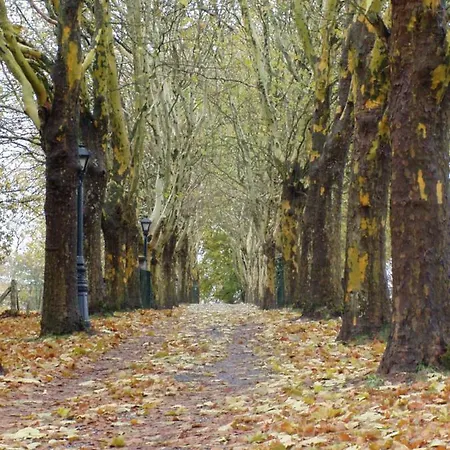 Appartamento Domaine L'ecureuil Six *